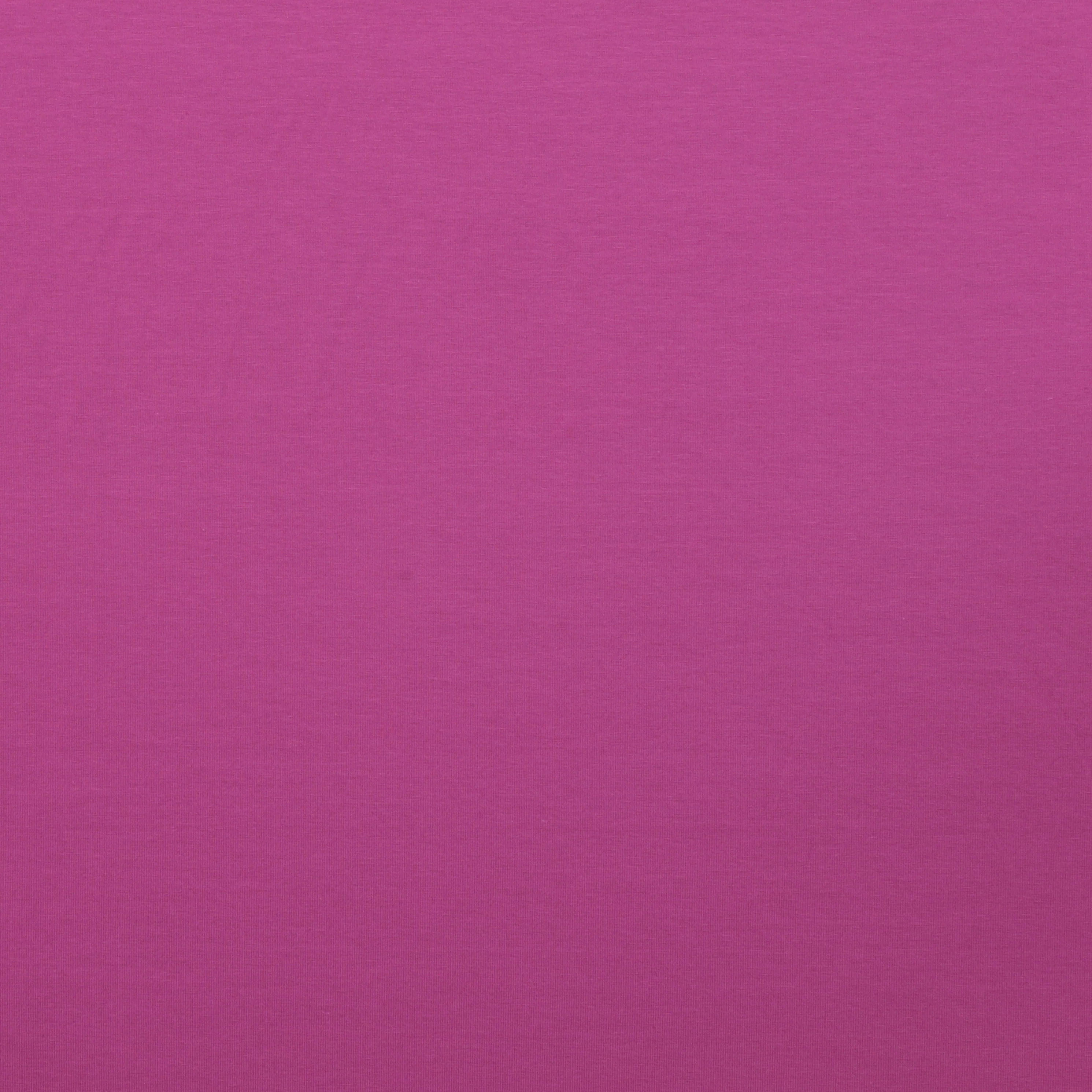 Cotton - Knit - Perla - Assorted - Image 10