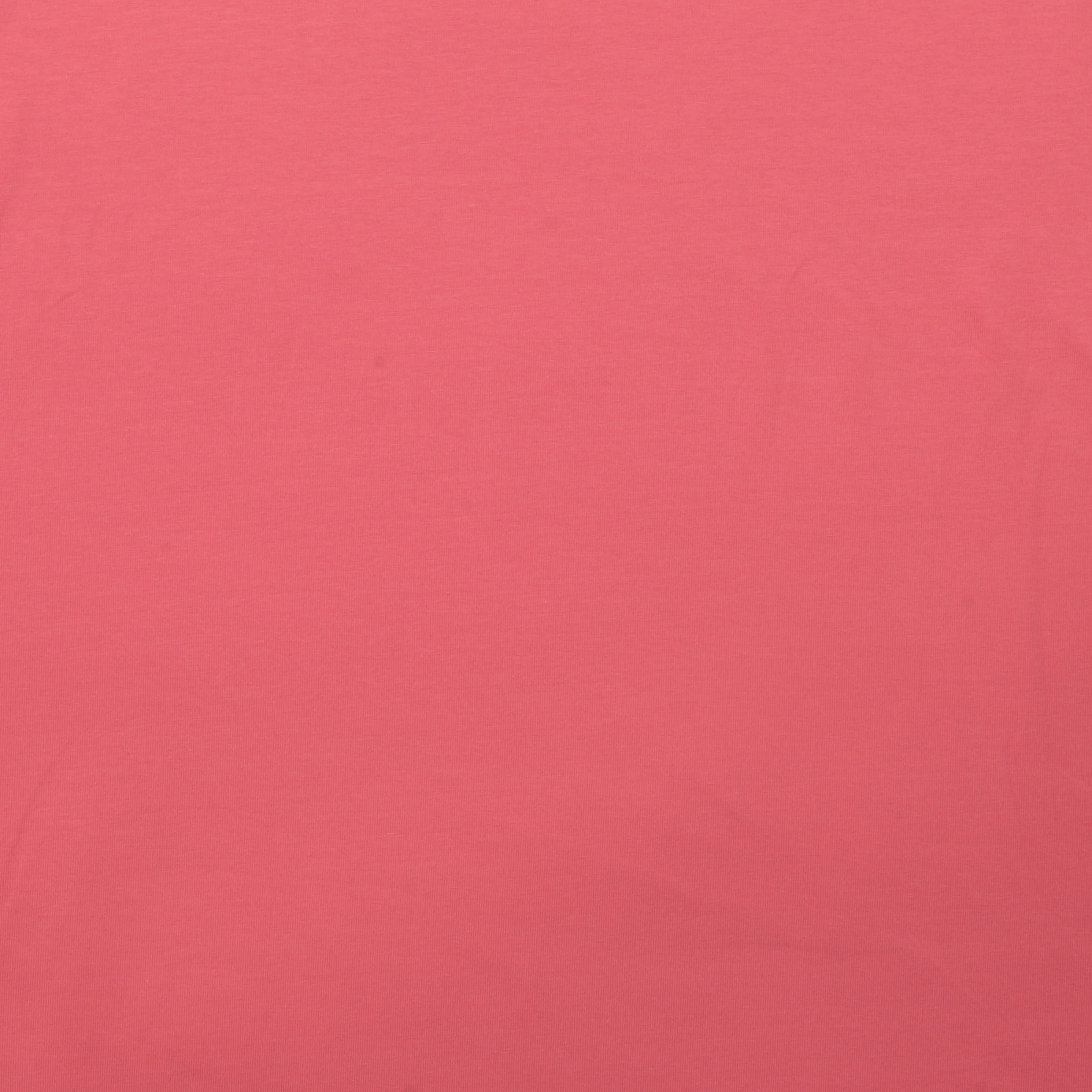 Cotton - Knit - Perla - Assorted - Image 11