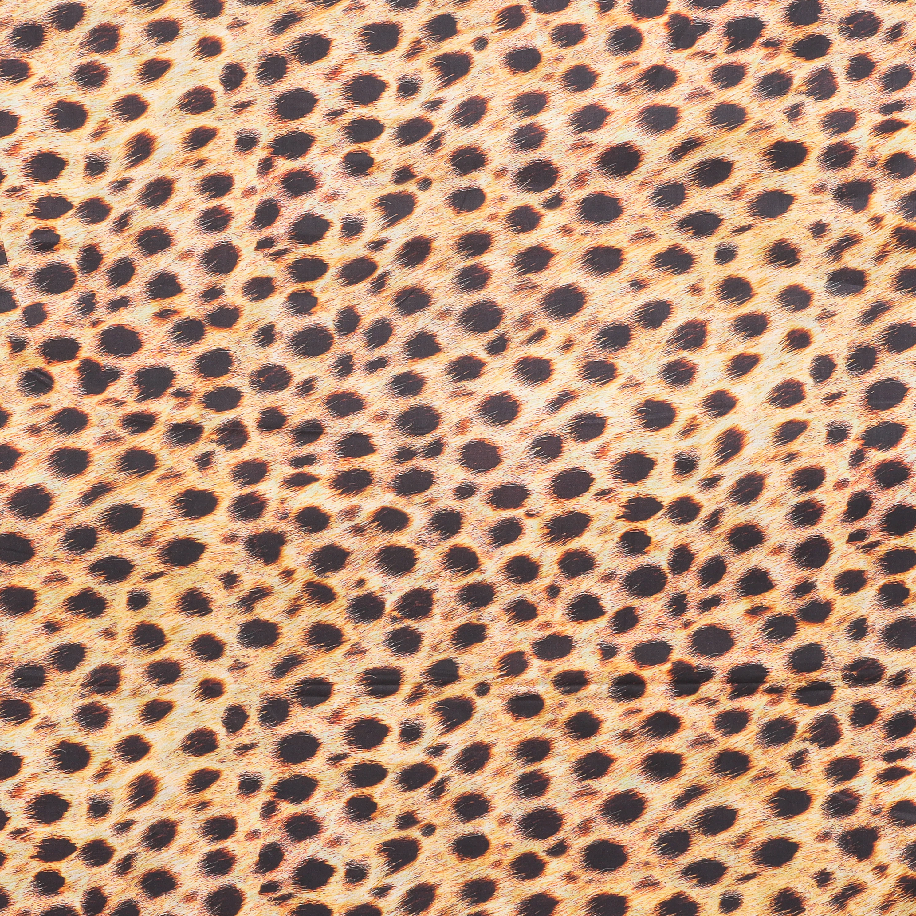 Cotton - Lawn - Animal Kingdom - Assorted - Image 5