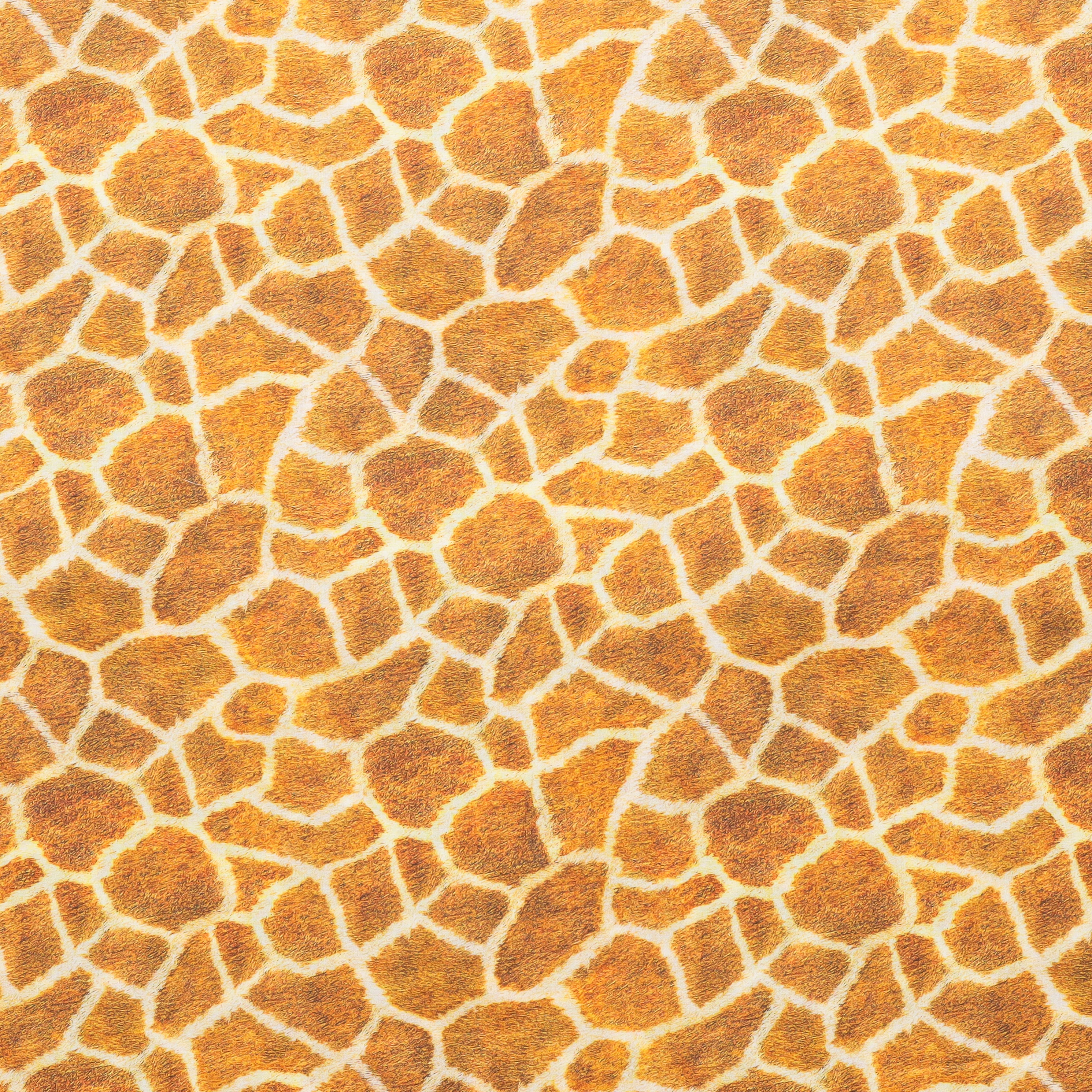 Cotton - Lawn - Animal Kingdom - Assorted - Image 6